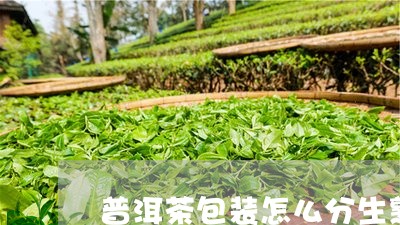 普洱茶包装怎么分生熟图片/2023110222715