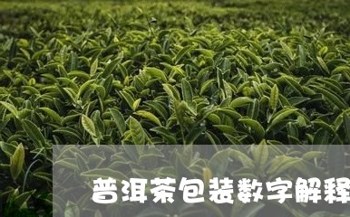 普洱茶包装数字解释图片大全/2023110603158