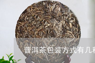 普洱茶包装方式有几种/2023100570594