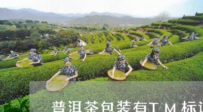 普洱茶包装有TM标记/2023062571393