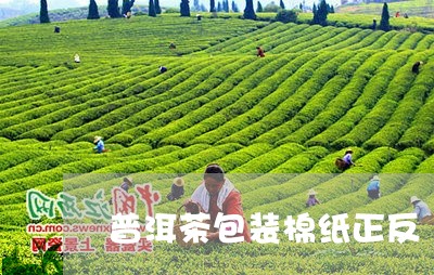 普洱茶包装棉纸正反/2023120578491