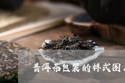 普洱茶包装的样式图片和价格/2023121615917