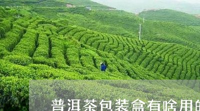 普洱茶包装盒有啥用的没/2023082988260