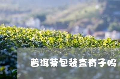 普洱茶包装盒有子吗/2023092896059