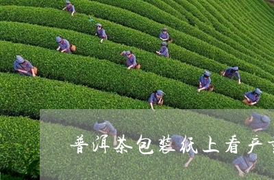 普洱茶包装纸上看产量/2023072465250