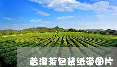 普洱茶包装纸带图片/2023112709183