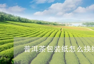 普洱茶包装纸怎么换纸盒/2023050561735