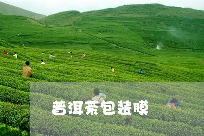 普洱茶包装膜/2023042667195