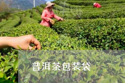 普洱茶包装袋/2023042996995