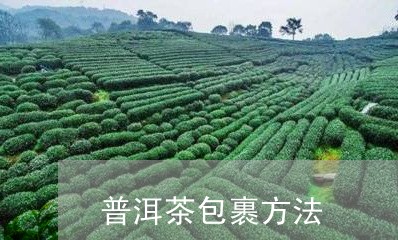 普洱茶包裹方法/2023112615259