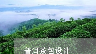 普洱茶包设计/2023042659296