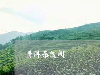 普洱茶包间/2023081792715