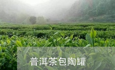 普洱茶包陶罐/2023042720487