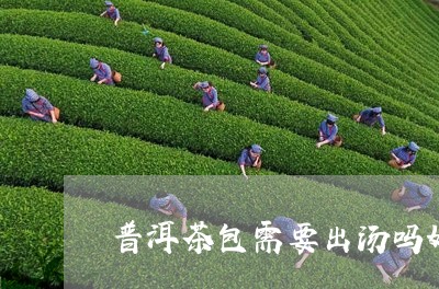 普洱茶包需要出汤吗好吗/2023082961715