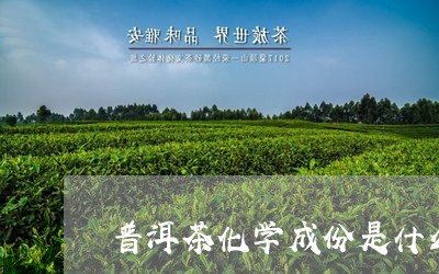 普洱茶化学成份是什么东西/2023082905069