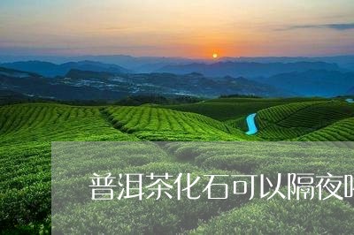 普洱茶化石可以隔夜喝吗/2023082740694