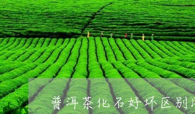 普洱茶化石好坏区别图片对比/2023052932947