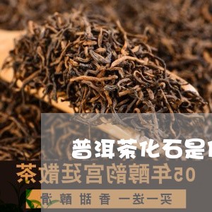 普洱茶化石是什么多少/2023062729271