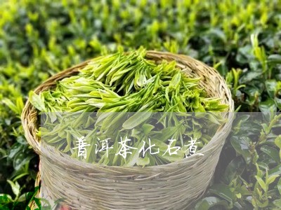 普洱茶化石煮/2023042642719