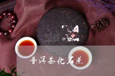 普洱茶化石煮/2023091242936