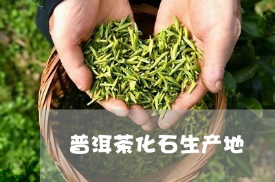 普洱茶化石生产地/2023110643736