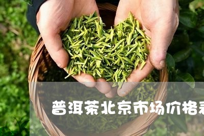 普洱茶北京市场价格表图片/2023112591735