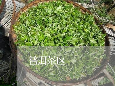 普洱茶区/2023110877269