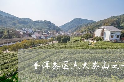 普洱茶区六大茶山之一是什么茶/2023110618380