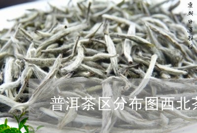 普洱茶区分布图西北茶区/2023112817161