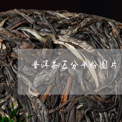 普洱茶区分年份图片/2023070887470