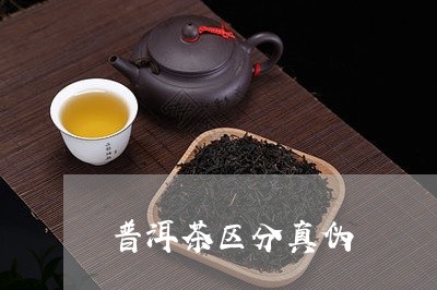 普洱茶区分真伪/2023102691604