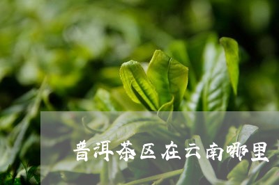 普洱茶区在云南哪里/2023120578392