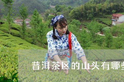 普洱茶区的山头有哪些/2023120622706