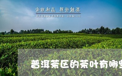 普洱茶区的茶叶有哪些/2023062287585