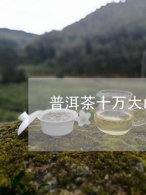 普洱茶十万大山/2023101623739