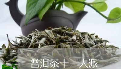 普洱茶十三大派/2023112629382