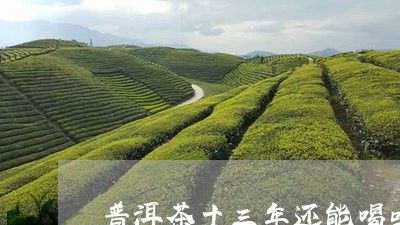 普洱茶十三年还能喝吗/2023092826150