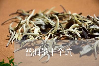 普洱茶十个坑/2023102539381