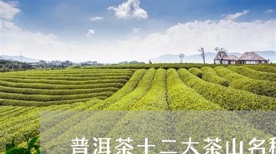 普洱茶十二大茶山名称/2023061652613