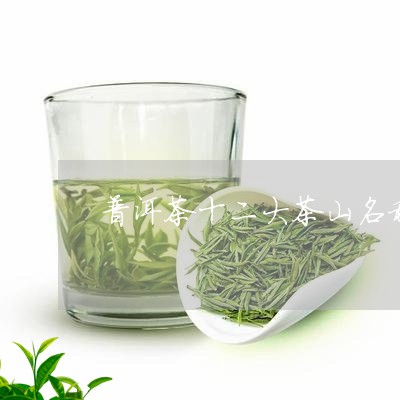 普洱茶十二大茶山名称/2023072263616