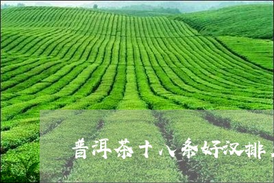 普洱茶十八条好汉排名/2023100610381