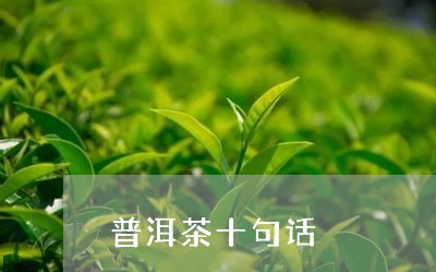 普洱茶十句话/2023090615170