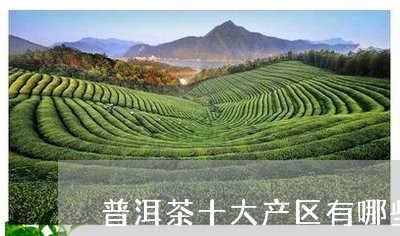 普洱茶十大产区有哪些城市/2023112536036