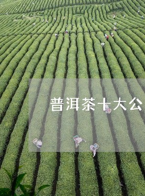 普洱茶十大公司排名/2023071114836