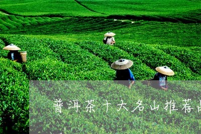 普洱茶十大名山推荐品牌/2023050522725