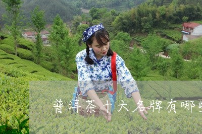 普洱茶十大名牌有哪些牌子/2023121692836