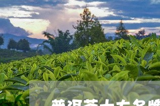 普洱茶十大名牌老班章有哪些价格/2023060207481