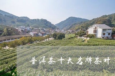 普洱茶十大名牌茶叶/2023091551793