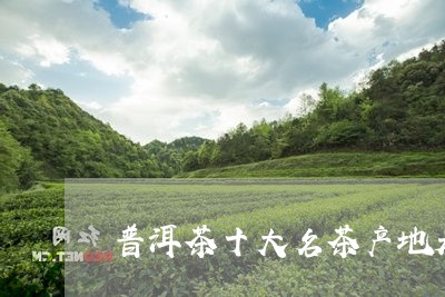 普洱茶十大名茶产地是哪里/2023082857414