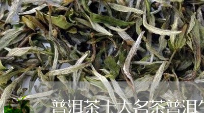 普洱茶十大名茶普洱生茶饼好坏图解/2023060317380